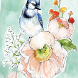 Blue Jay by Caverly Smith