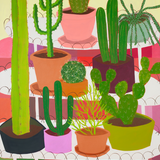 Cactus Collection by Bailey Schmidt