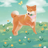 Dandelion Shiba by Elaine Lee