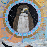 Hawk by Kate Ritchie