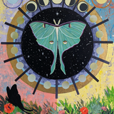 Luna by Kate Ritchie