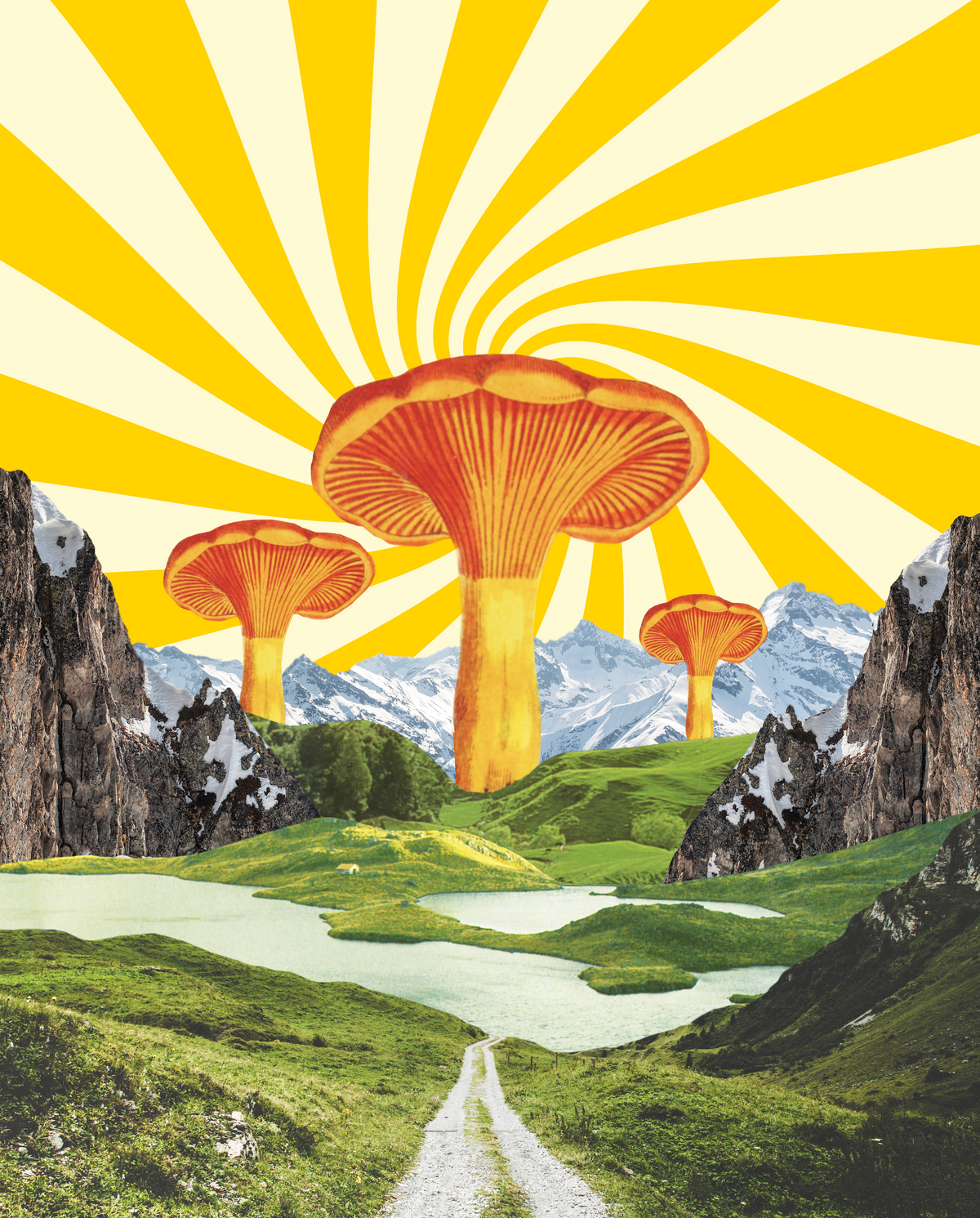 Mushroom_Vibes_by_Karen_Lynch_