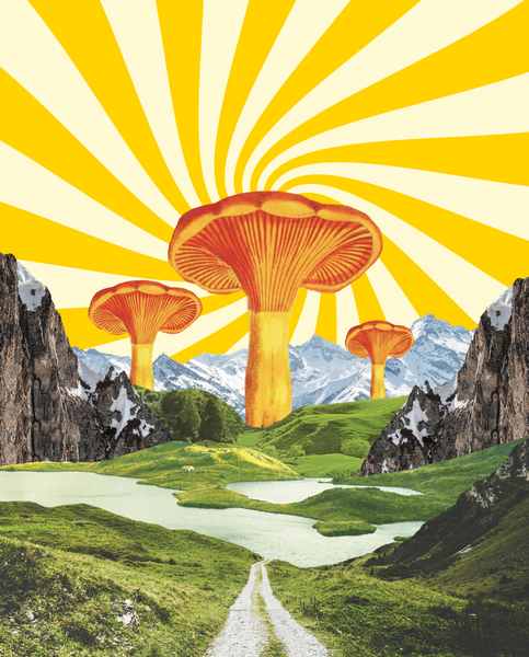 Mushroom_Vibes_by_Karen_Lynch_