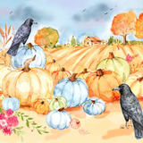 Pumpkin Patch by Elena Fay