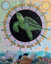 Turtle by Kate Ritchie