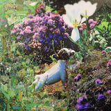 Paws in the Petals by Katy Hirschfeld