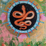 Snake by Kate Ritchie