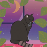 Special Kitty by Cat Willett