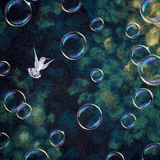 The Bubble Dance by Dani Ives