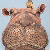 The Hippo & Oxpecker by Dani Ives