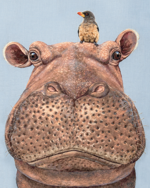 hippo The_Hippo_Oxpecker_by_Dani_Ive