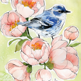 Warbler by Caverly Smith