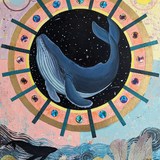 Whale by Kate Ritchie
