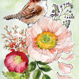 Wren by Caverly Smith