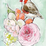 Zebra Finch by Caverly Smith