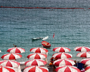 Red Umbrellas by Hallie Geller