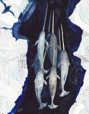 Narwhal artwork with blue tones and five narwhals swimming together under the sea