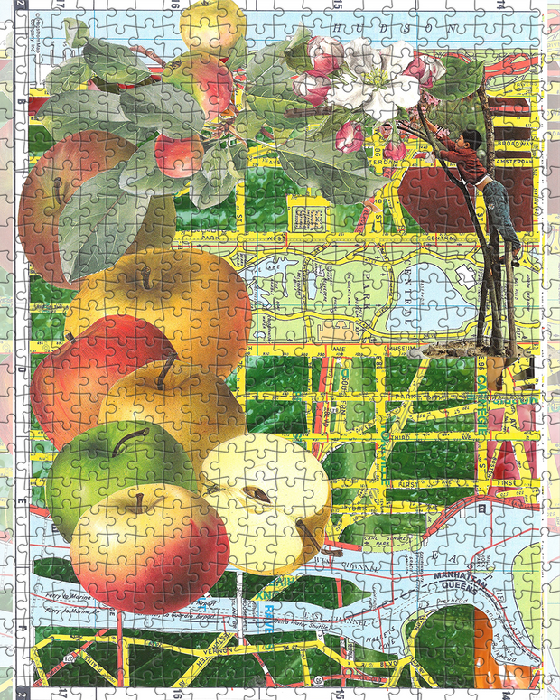 Big Apple by Susan Lerner