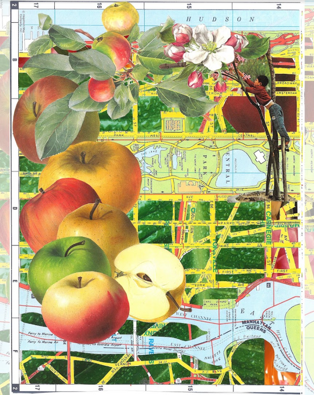 Big Apple by Susan Lerner